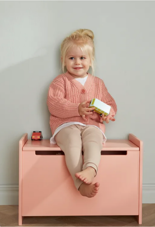 Pull Back Cars (Set of 3)