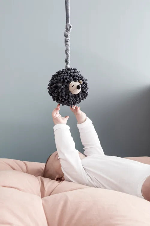 Hedgehog Soft Music Box
