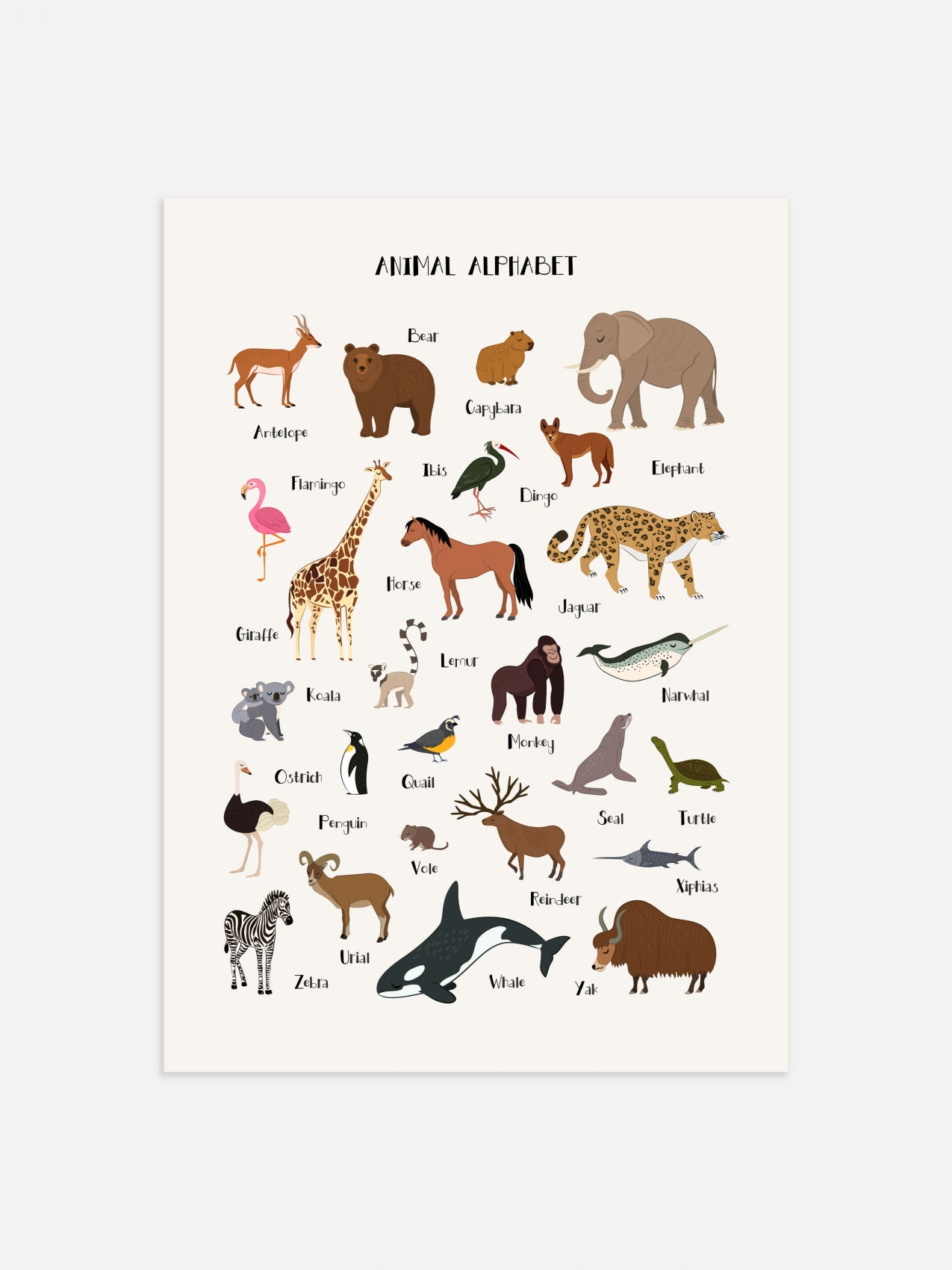 Petit Monkey alphabet poster apple - zebra 50 x 70 cm EN – PSiloveyou