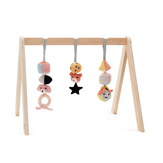Baby Gym Set with Wooden Frame